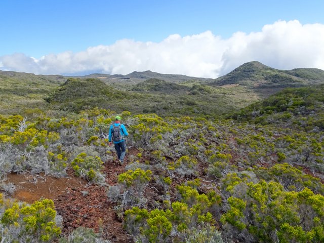 On aperçoit au loin la Route Forestière 44 du Piton de l'Eau et les nouveaux pitons à escalader