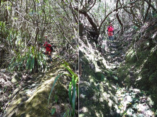 La fin de la descente s'effectue souvent dans les lits de petits ravines