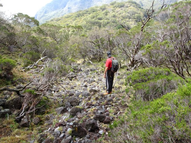 Arrivée dans le fond de la Ravine du Piton Rond