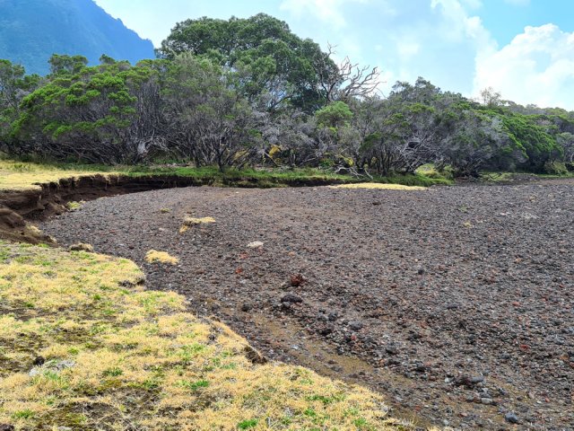 Le sol est si plat que la ravine à sec s'est élargie et a créé des méandres