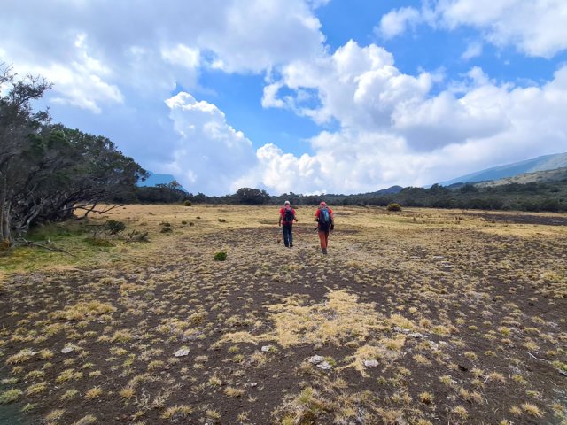 L'endroit idéal pour accueillir les troupeaux de vaches