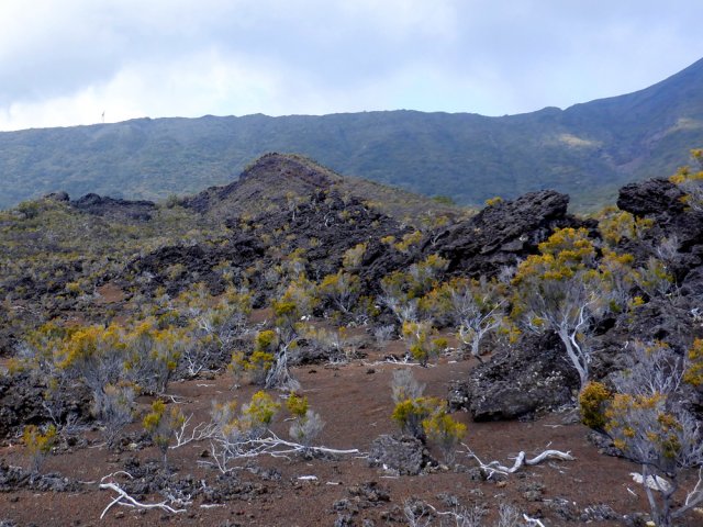 On peut parcourir les abords du Piton de l'Îlet mais ils sont assez dangereux