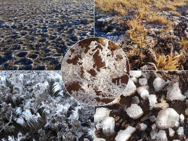 Le froid est oublié, tant les yeux se régalent