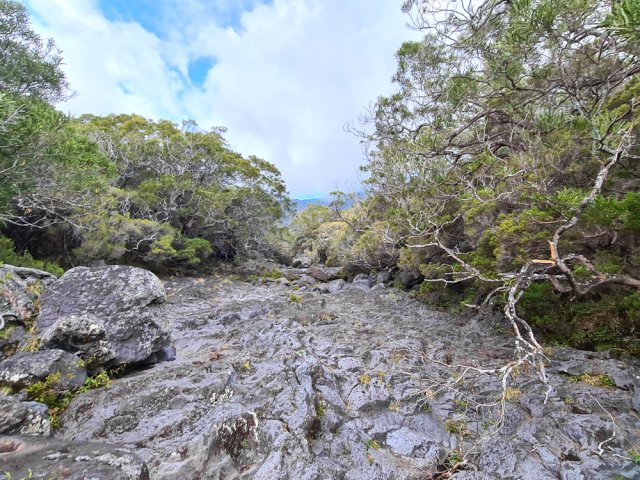 Au départ, la Ravine Haüy est un véritable boulevard