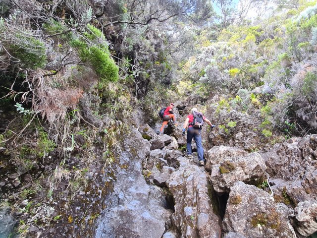 Les premiers mètres de la Ravine Saucisson laissent présager d'une suite pentue