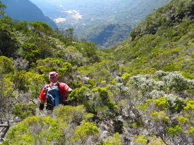 La végétation est assez basse sur la moitié de la descente