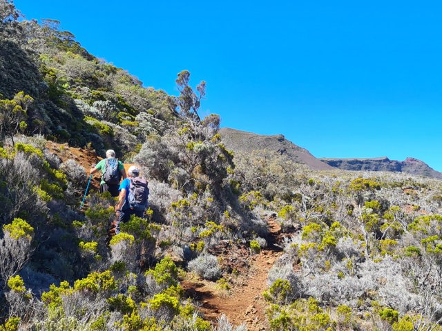 Contournement du Piton de Caille