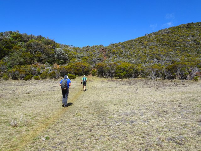 Traversée de la plaine couverte de prairies avant le Piton Textor