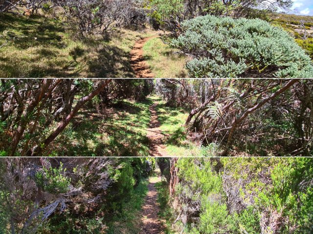 Longue portion agréable, souvent ombragée