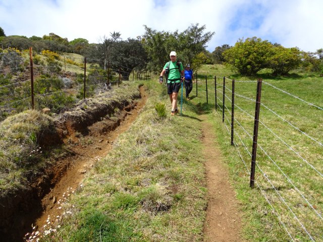Nouveau sentier créé entre les clôtures vers les Trous Blancs