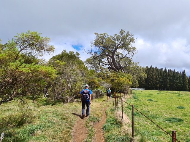 En passant, courte visite au Tamarin Dodo