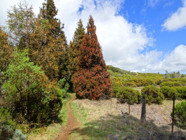 On longe les prairies du Grand Bras de Pontho avant d'obliquer vers Bourg Murat