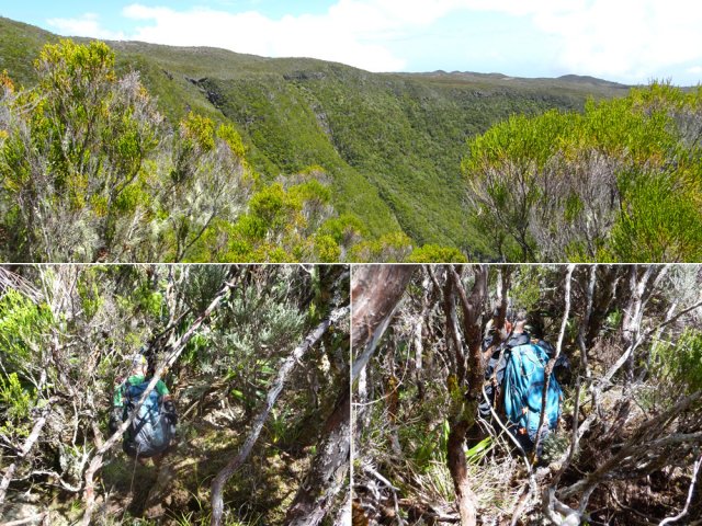 Descente périlleuse pour rejoindre le point de vue sur les chicots