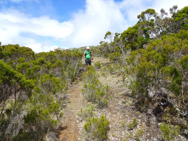 Nombreux sentiers faciles à suivre