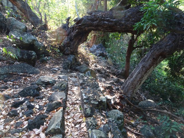 Vestiges de canaux ne transportant plus d'eau depuis bien longtemps