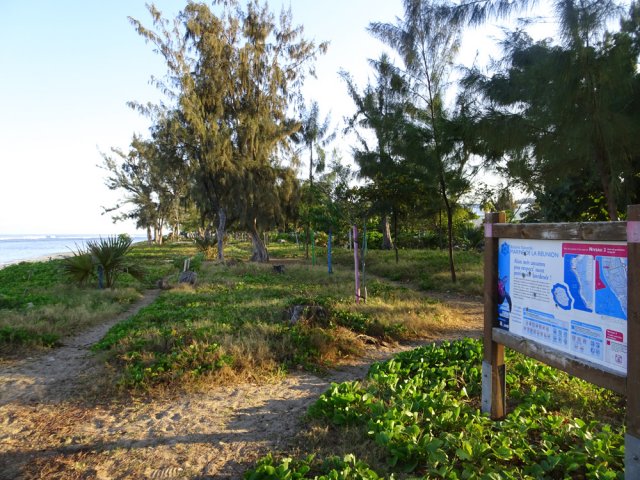 Plusieurs sentiers permettent d'éviter de marcher sur le sable