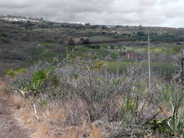 Vue sur la station de pompage depuis la piste