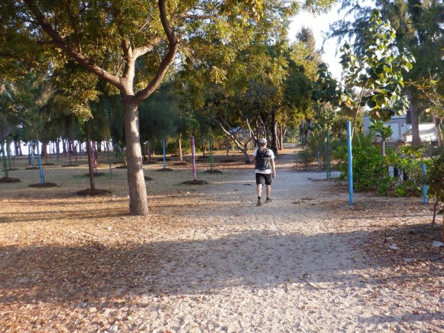 Allées très fréquentées assez loin du lagon