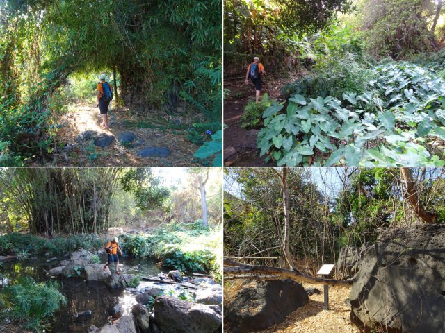 La balade est toujours aussi facile le long de la Ravine Saint-Gilles
