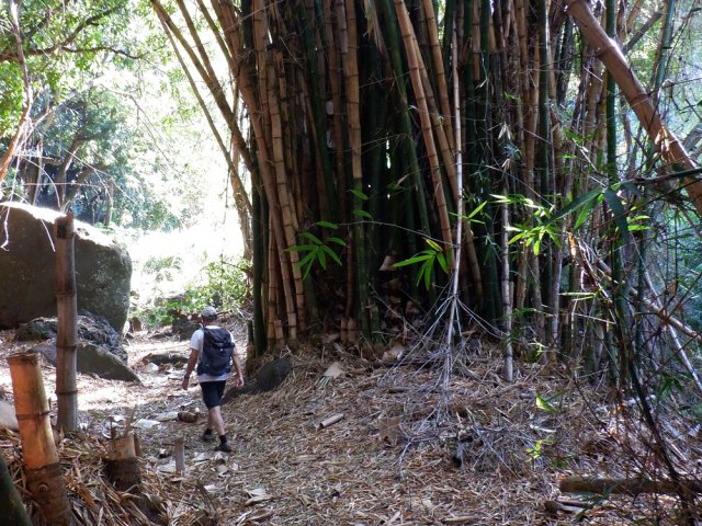 Poursuivre le long de la ravine après le sentier montant au théâtre