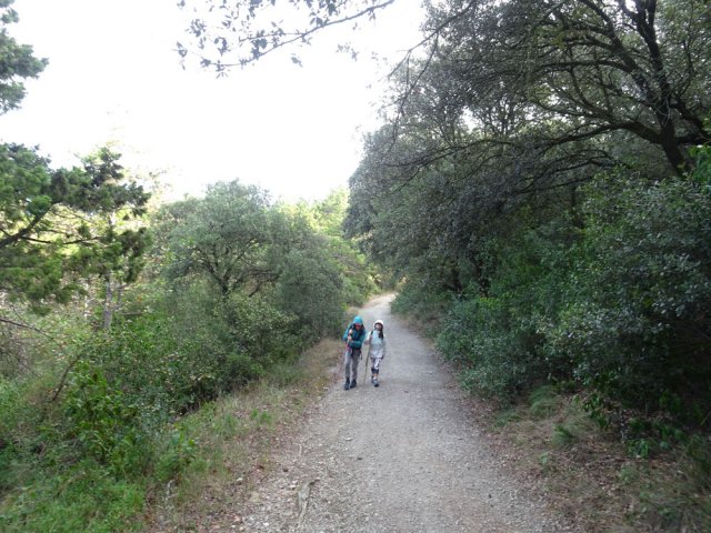 Rejoindre ensuite la petite route par le Chemin des Paillasses