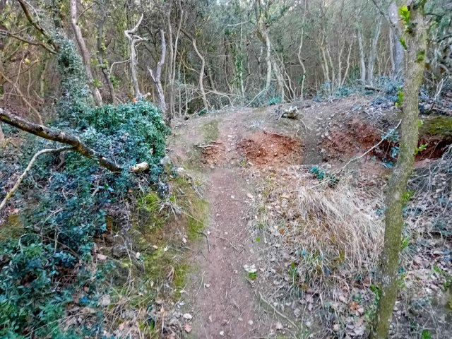 Les pneus de VTT ont creusé d'importantes ornières et de hautes marches