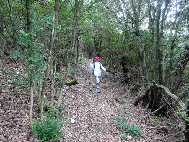 Pas de difficulté particulières dans le premier tiers de la descente