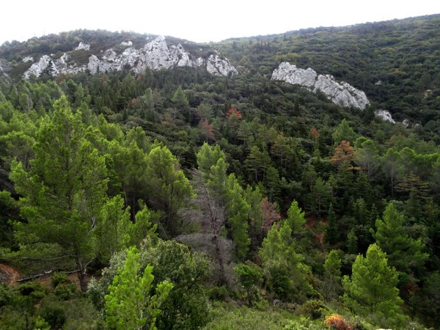 On aperçoit la falaise précédente frôlée à la descente