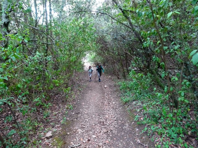 Sentier pentu mais ombragé