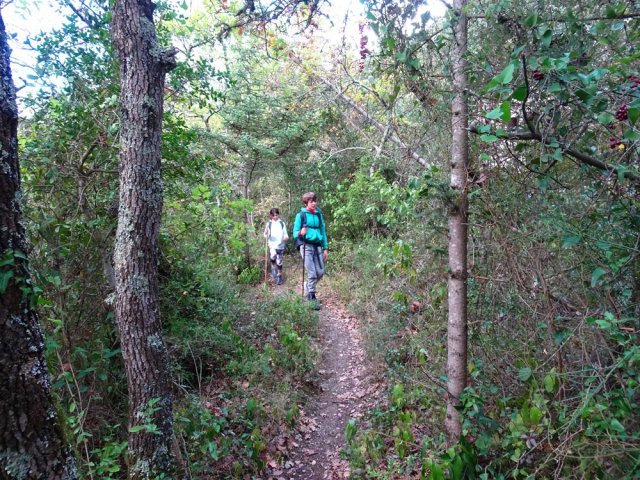 Poursuivre en obliquant à droite au premier croisement