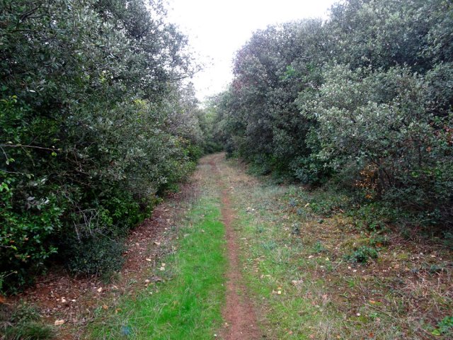 Obliquer à gauche au mirador de chasse pour rejoindre le château