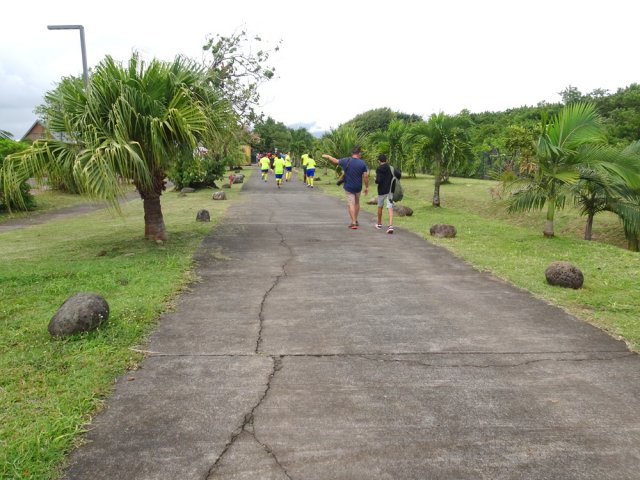 L'allée en direction de l'extérieur de l'aire de loisirs
