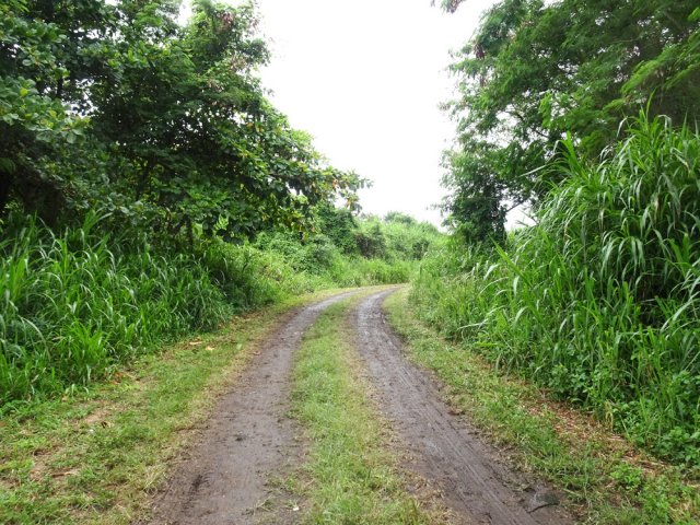 Large piste un peu boueuse après la pluie