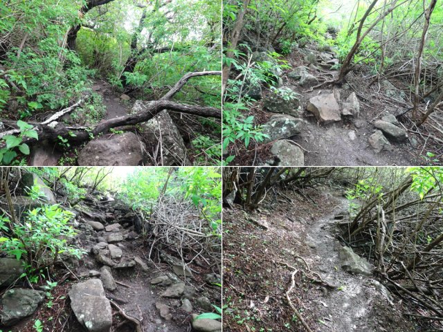 Quelques portions du sentier assez pierreux