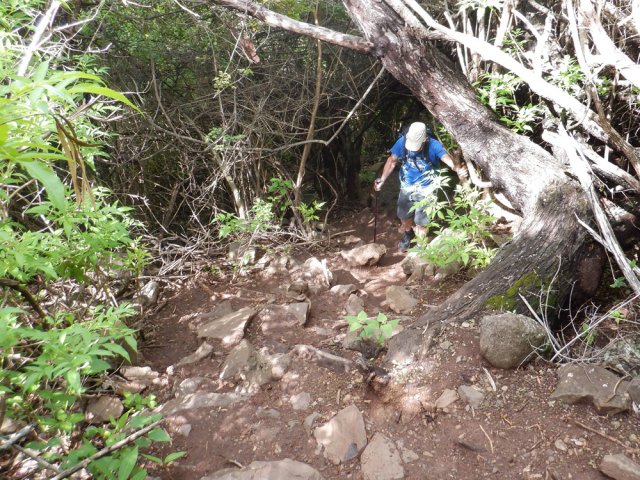 Des branches basses imposent parfois de se baisser