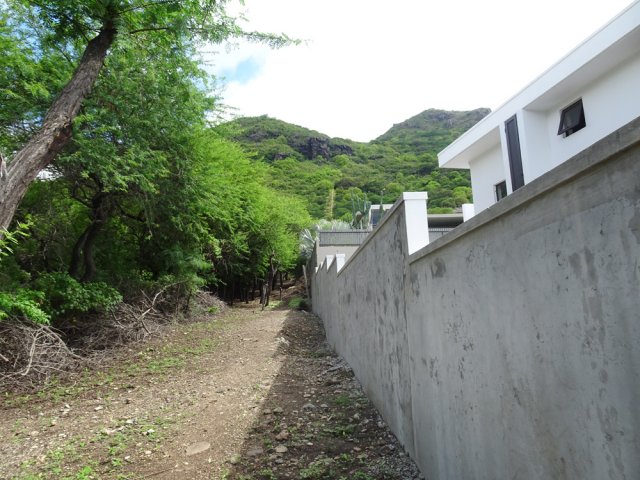 Longer le lotissement entre murs et végétation