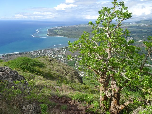 On peut bifurquer à droite pour profiter d'un nouveau point de vue sur les rochers