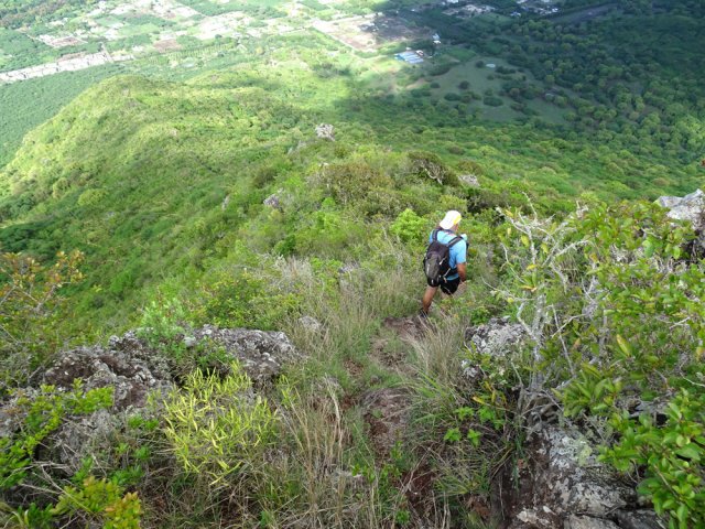 Une idée du sentier en direction des élevages de cerfs
