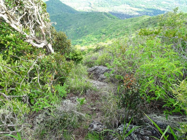 Moins fréquenté, il ne se perd pourtant pas des yeux