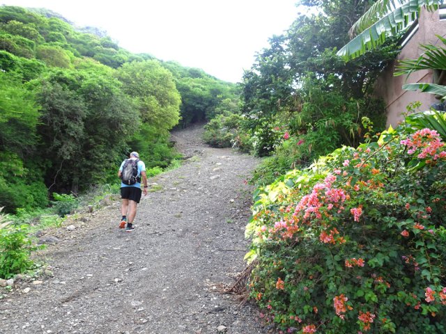 Pente forte le long des propriétés fleuries
