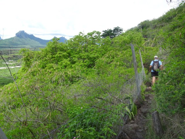 Partir sur la gauche et longer le grillage