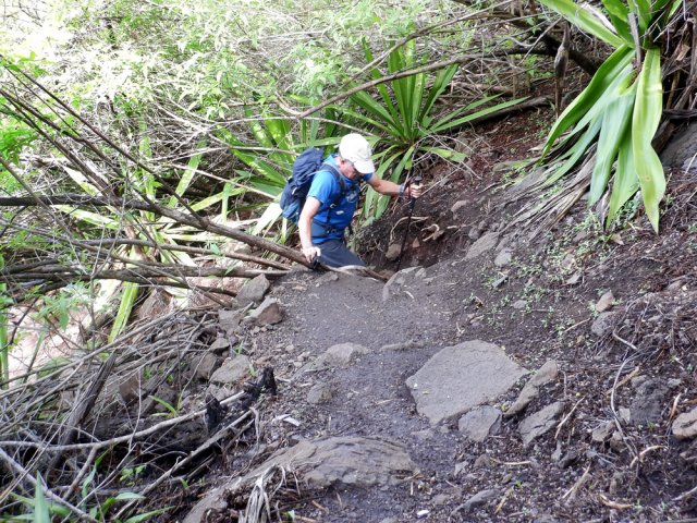 La pente est immédiate et parfois forte