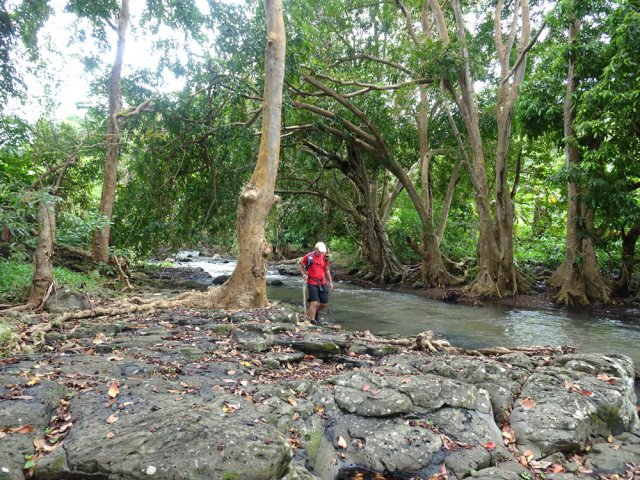 Il est facile de longer les berges pour de nouvelles explorations