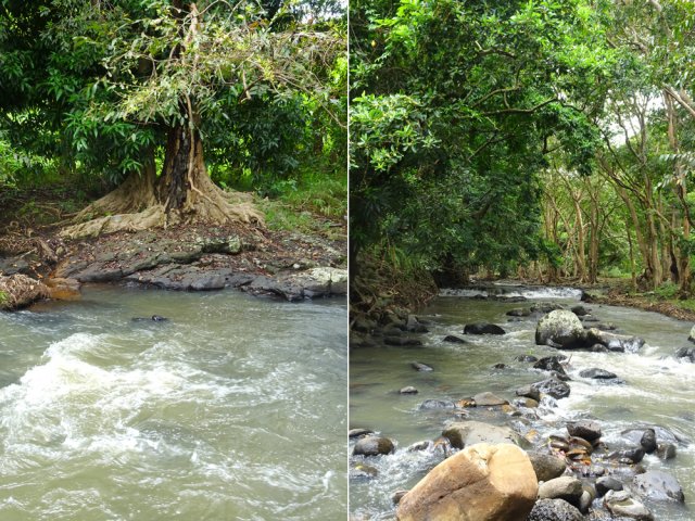 Une idée de la rivière en amont