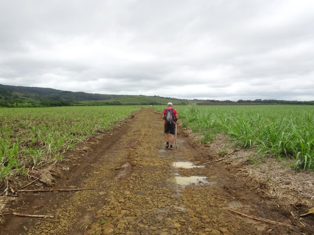 La piste est fréquentée par les quads et taxis