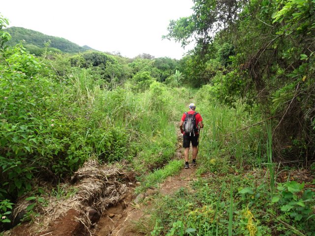 Tronçon humide dans les hautes herbes