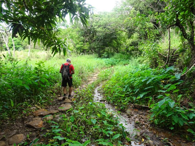 Des pierres plates permettent de ne pas mouiller les chaussures