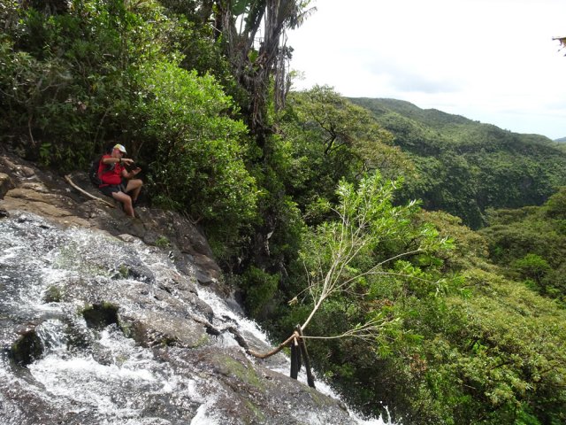Rester vigilant en s'approchant pour photographier