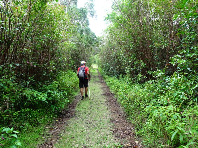 Large piste bordée de tabacs bœuf