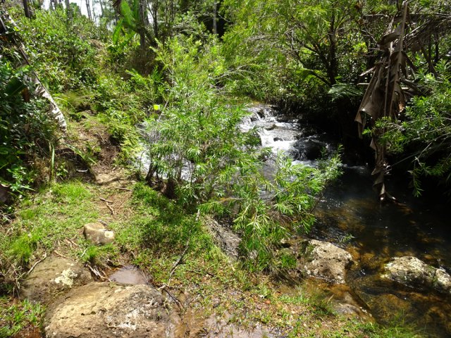 Partir par le sentier en rive droite